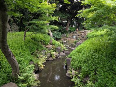 Kyu-Furukawa Gardens