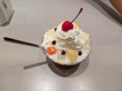 Shaved ice from Nakaniwa Cafe